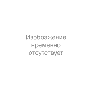 Система распознавания номеров автомобилей для автоматизации парковок